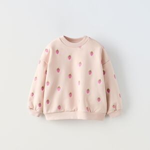 Zara | HSA & HTF Strawberry Embroidered Sweatshirt Crewneck